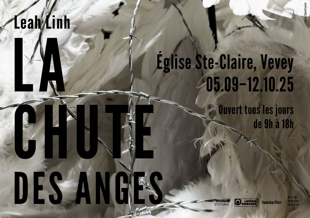la chute-carton5